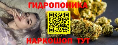 спиды Шелехов