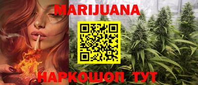 прущие грибы Шахты